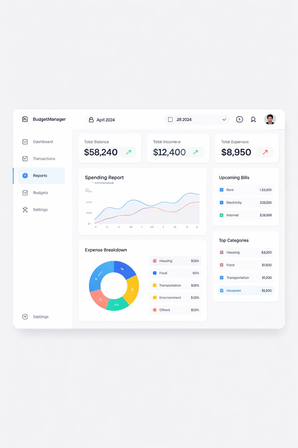 BudgetManager SaaS Reports